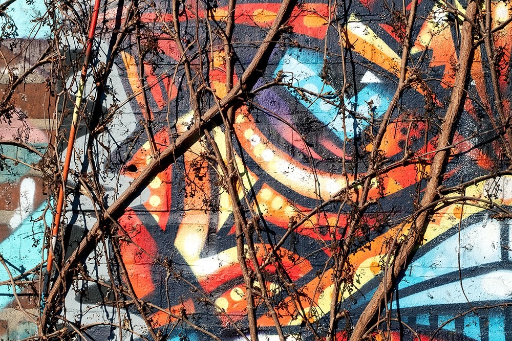 Organic Graffiti
