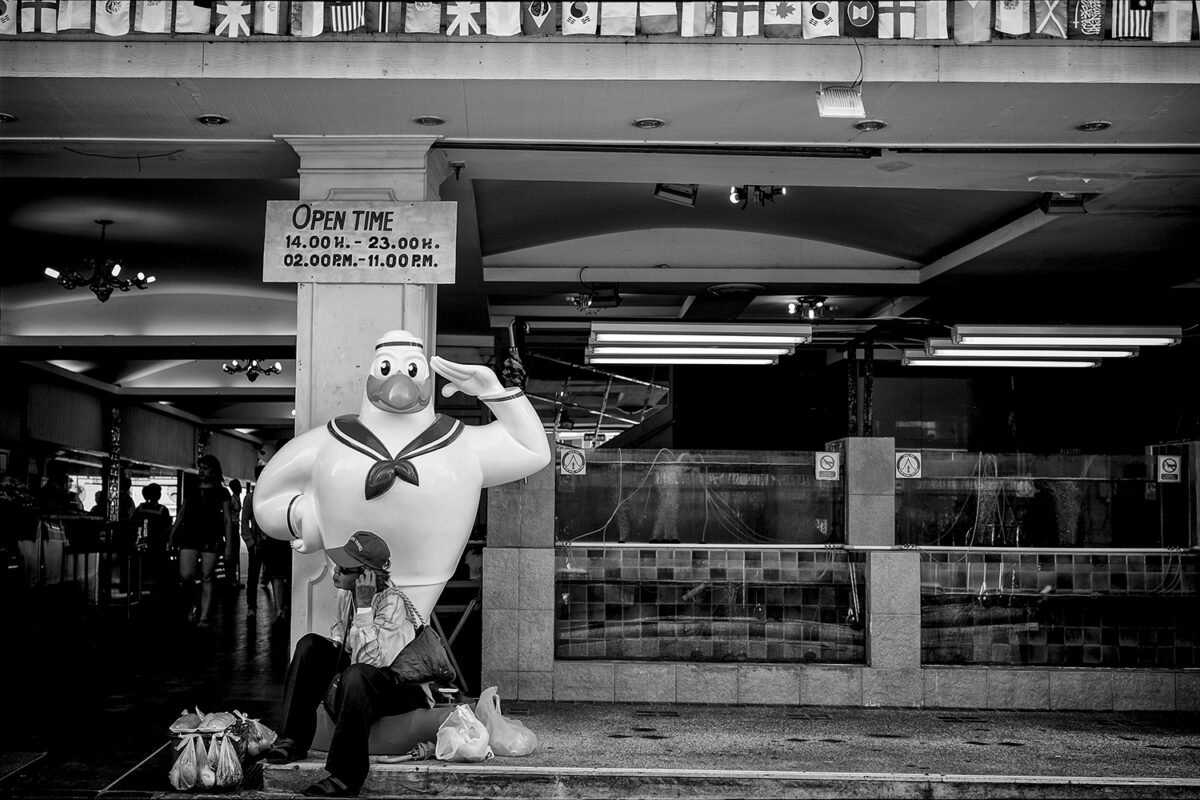 Seagull Salute