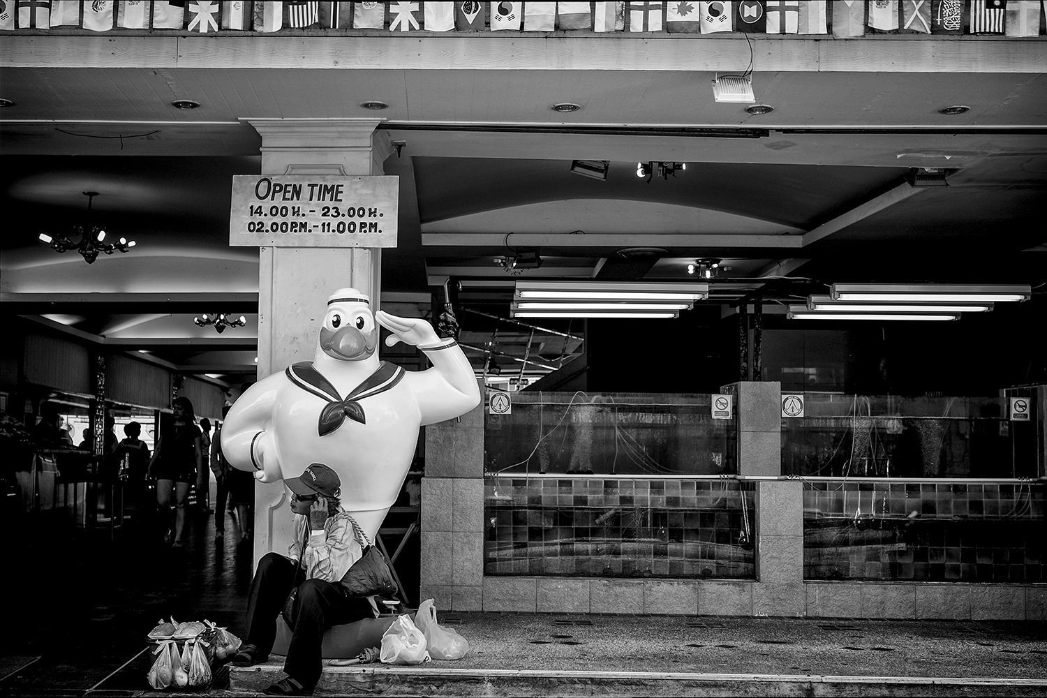 Seagull Salute