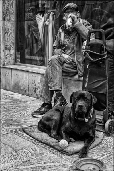 The Companion