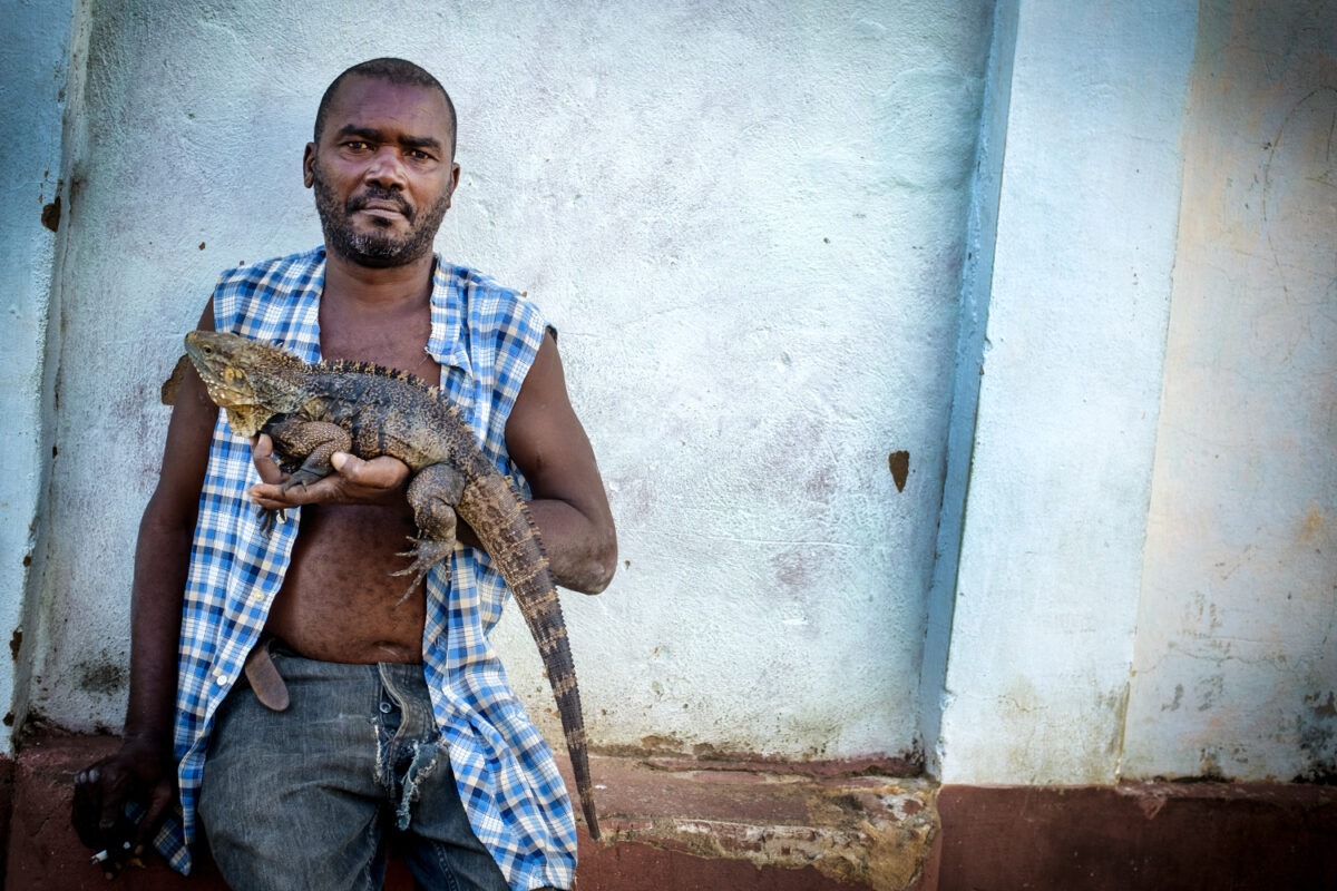 The Iguana Man