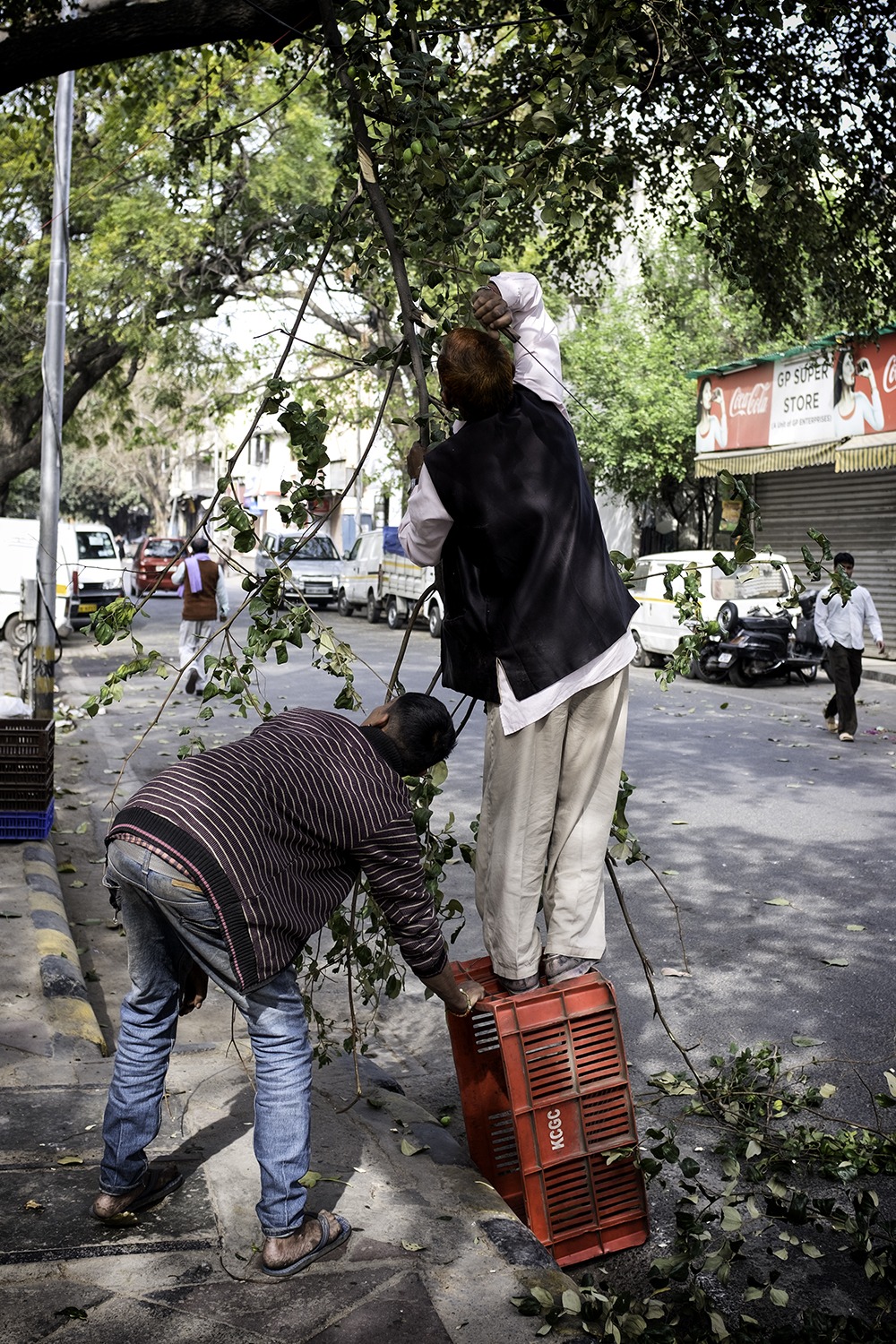 What Could Go Wrong !